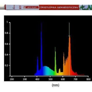 Diversa - T8 - 18W - 5000 °K Plant