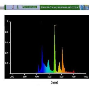 Diversa - T8 18W - 10000°K Natural