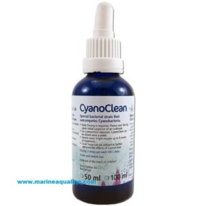 Korallen-Zucht CyanoClean 50ml