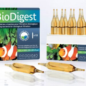 Prodibio Bio Digest Marino e Dolce - 6 fiale