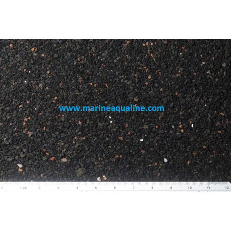 CaribSea Ocean Direct Live Sand 0,25 - 1,0 mm. - Kg. 9,07