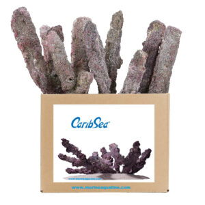 CaribSea Life Rock Shelf Rock - Kg. 1