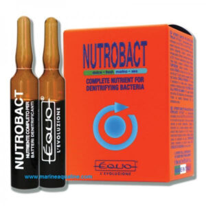 EQUO Nutrobact 24 Fiale da 5ml
