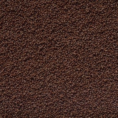 Aquaforest AF Anthias Pro Feed S 120 gr