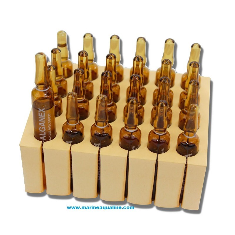 Equo BIO-EXTRA 24 Fiale Da 5ml - Attivatore Biologico Liquido Di Flora Batterica Eterotrofa
