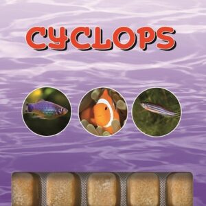 Ocean Nutrition Cyclops Congelato 100g