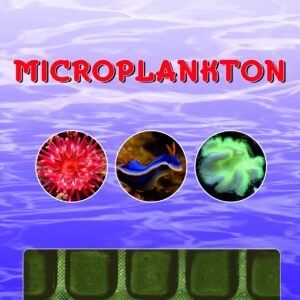 Ocean Nutrition Microplankton Congelato 100g
