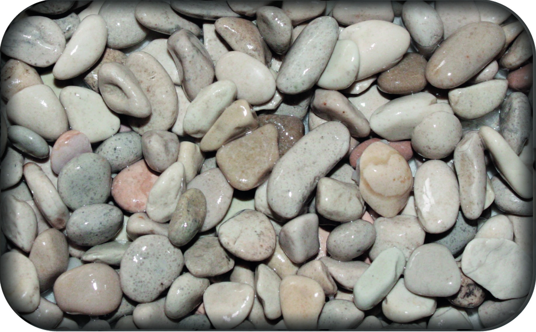 Amtra Pro Nature Zen Artist Sambia Medium 5Kg - Ghiaia Bianca Granulometria 0,7 - 0,9 cm