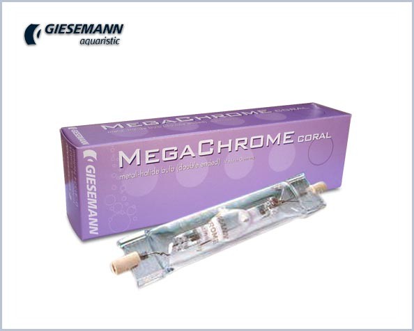 Giesemannn Megachrome Coral 14500 °Kelvin 150w Attacco Rx7